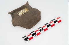 Foto von Keramikgefäß (NHMW-PRAE-002237a)